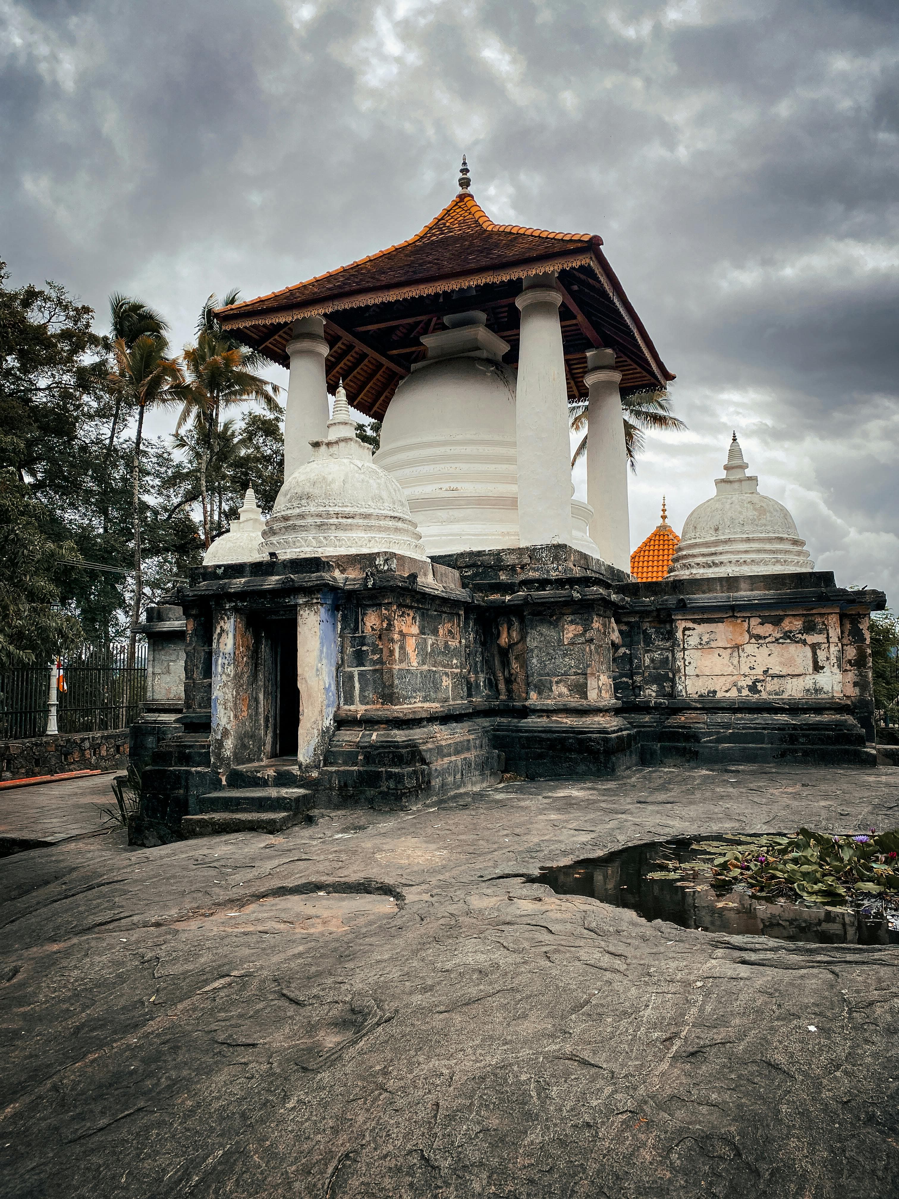 Sri Lanka nature